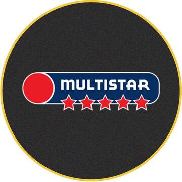 MULTISTAR SRL