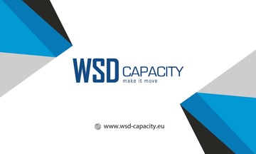 WSD CAPACITY SRL